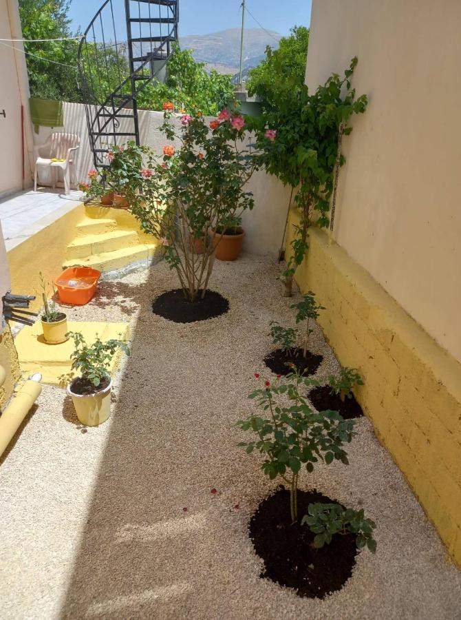 Zoe'S House In Argostoli Villa Eksteriør bilde